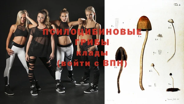 Альфа ПВП Богданович